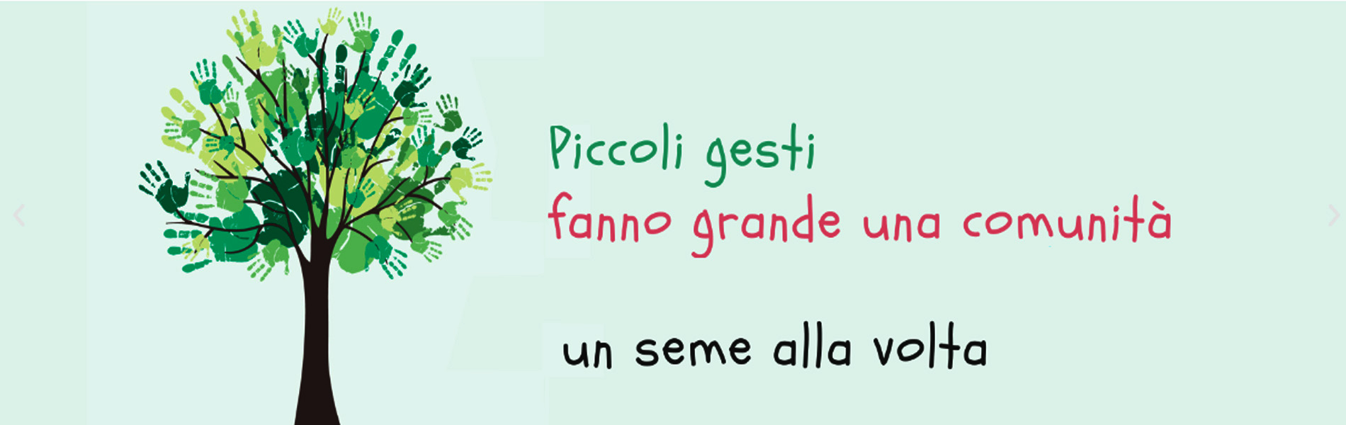 4. un seme alla volta